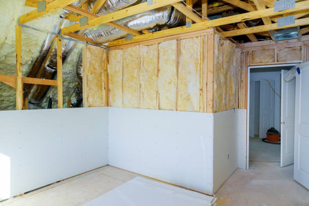 Best Insulation Removal Services  in Stony Point, MI