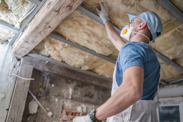 Best Insulation Removal  in Stony Point, MI