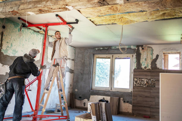 Best Wall Insulation Contractor  in Stony Point, MI