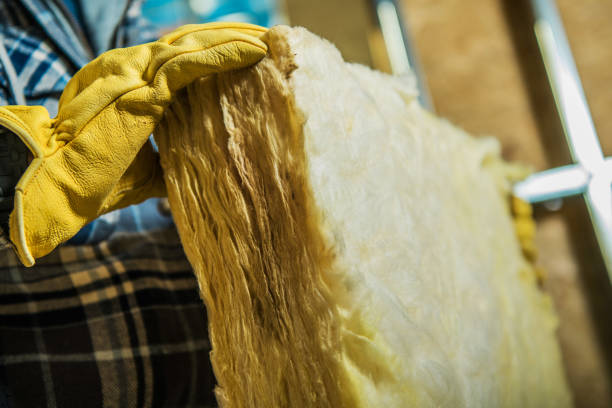 Best Insulation Contractor Near Me  in Stony Point, MI