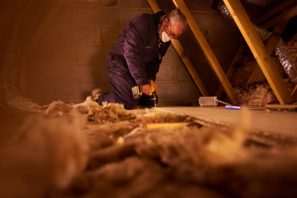 Professional Insulation Contractor in Stony Point, MI