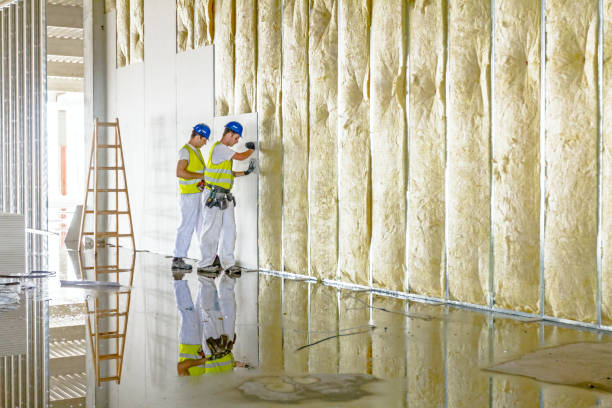Best Insulation Replacement Services  in Stony Point, MI